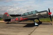 (Private) Yakovlev Yak-52TW (LY-LSJ) at  Itzehoe - Hungriger Wolf, Germany