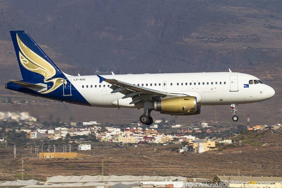 Bulgarian Eagle Airbus A319-132 (LZ-AOC) | Photo 261201