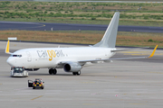 Cargo Air Boeing 737-809(SF) (LZ-CGA) at  Cologne/Bonn, Germany