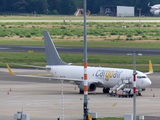 Cargo Air Boeing 737-809(SF) (LZ-CGA) at  Cologne/Bonn, Germany