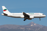 European Air Charter Airbus A320-214 (LZ-LAI) at  Tenerife Sur - Reina Sofia, Spain