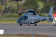 (Private) Eurocopter EC155 B Dauphin (M-XHEC) at  Hamburg - Fuhlsbuettel (Helmut Schmidt), Germany