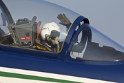 Italian Air Force (Aeronautica Militare Italiana) Aermacchi MB-339A (MM54485) at  Istrana Air Base, Italy