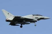 Italian Air Force (Aeronautica Militare Italiana) Eurofighter TF-2000A Typhoon (MM55133) at  Grosseto Air Base, Italy