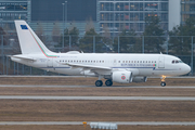 Italian Air Force (Aeronautica Militare Italiana) Airbus A319-115X CJ (MM62174) at  Munich, Germany