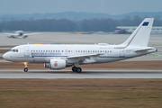 Italian Air Force (Aeronautica Militare Italiana) Airbus A319-115X CJ (MM62174) at  Munich, Germany