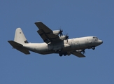 Italian Air Force (Aeronautica Militare Italiana) Lockheed Martin C-130J-30 Super Hercules (MM62189) at  Pisa - Galileo Galilei, Italy