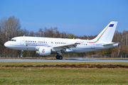 Italian Air Force (Aeronautica Militare Italiana) Airbus A319-115 CJ (MM62209) at  Lübeck-Blankensee, Germany