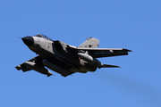 Italian Air Force (Aeronautica Militare Italiana) Panavia Tornado IDS (MM7014) at  Schleswig - Jagel Air Base, Germany