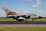 Italian Air Force (Aeronautica Militare Italiana) Panavia Tornado IDS (MM7014) at  Schleswig - Jagel Air Base, Germany