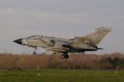 Italian Air Force (Aeronautica Militare Italiana) Panavia Tornado ECR (MM7020) at  Florennes AFB, Belgium