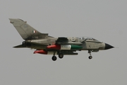 Italian Air Force (Aeronautica Militare Italiana) Panavia Tornado IDS (MM7041) at  Florennes AFB, Belgium
