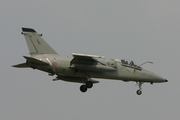 Italian Air Force (Aeronautica Militare Italiana) AMX International A-11A Ghibli (MM7175) at  Florennes AFB, Belgium