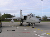 Italian Air Force (Aeronautica Militare Italiana) AMX International A-11A Ghibli (MM7175) at  Florennes AFB, Belgium