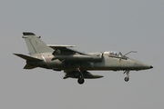 Italian Air Force (Aeronautica Militare Italiana) AMX International A-11A Ghibli (MM7186) at  Florennes AFB, Belgium