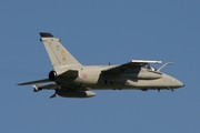 Italian Air Force (Aeronautica Militare Italiana) AMX International A-11A Ghibli (MM7198) at  Florennes AFB, Belgium
