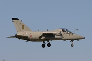 Italian Air Force (Aeronautica Militare Italiana) AMX International A-11A Ghibli (MM7198) at  Florennes AFB, Belgium