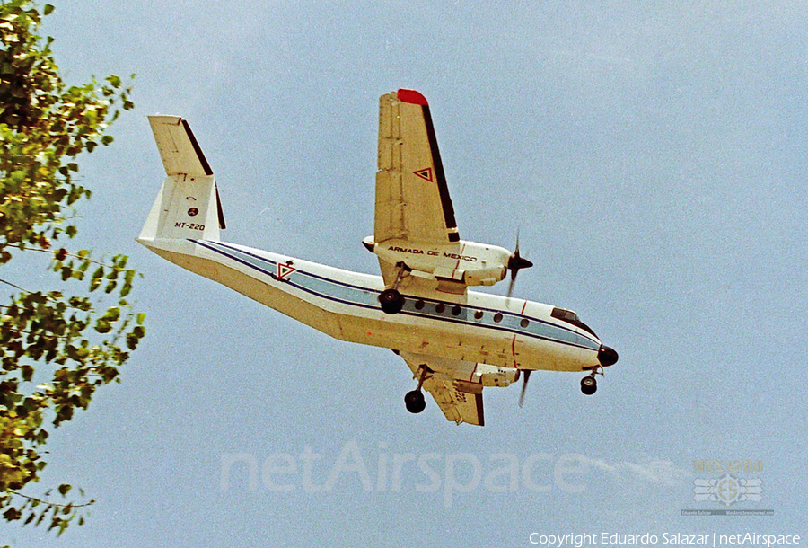 Mexican Navy (Armada de Mexico) De Havilland Canada DHC-5D Buffalo (MT-220) | Photo 401133