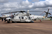 Royal Netherlands Navy NH Industries NH90-NFH (N-227) at  RAF Fairford, United Kingdom