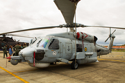 Brazilian Navy (Marinha Do Brasil) Sikorsky S-70B Seahawk (N-3034) at  Base de Aviacao de Taubate, Brazil