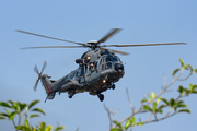 Brazilian Navy (Marinha Do Brasil) Eurocopter UH-15 Super Cougar (N-7106) at  Sorocaba - Bertram Luiz Leupolz, Brazil