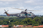 Brazilian Navy (Marinha Do Brasil) Eurocopter UH-15 Super Cougar (N-7107) at  Teresina - Senador Petrônio Portella, Brazil