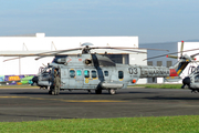 Brazilian Navy (Marinha Do Brasil) Eurocopter UH-15A Super Cougar (N-7203) at  Sorocaba - Bertram Luiz Leupolz, Brazil