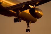 Continental Airlines Boeing 757-224 (N*****) at  Houston - George Bush Intercontinental, United States