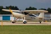 (Private) Fairchild 24R-46 (N1010W) at  Oshkosh - Wittman Regional, United States