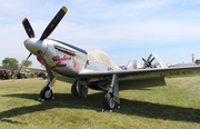 (Private) North American P-51D Mustang (N10607) at  Oshkosh - Wittman Regional, United States