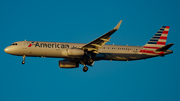 American Airlines Airbus A321-231 (N116AN) at  New York - John F. Kennedy International, United States