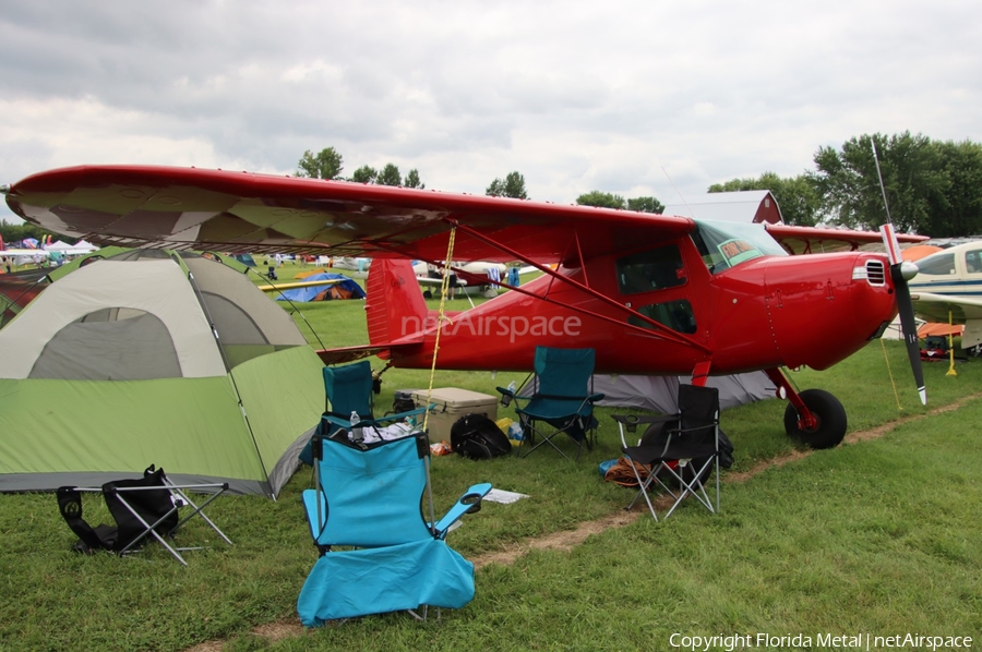 (Private) Cessna 120 (N120BM) | Photo 649446