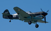 Commemorative Air Force Curtiss P-40N Warhawk (N1226N) at  Dallas - Addison, United States