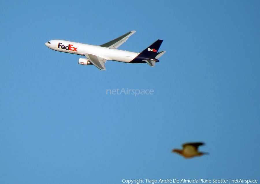 FedEx Boeing 767-3S2F(ER) (N123FE) | Photo 513142