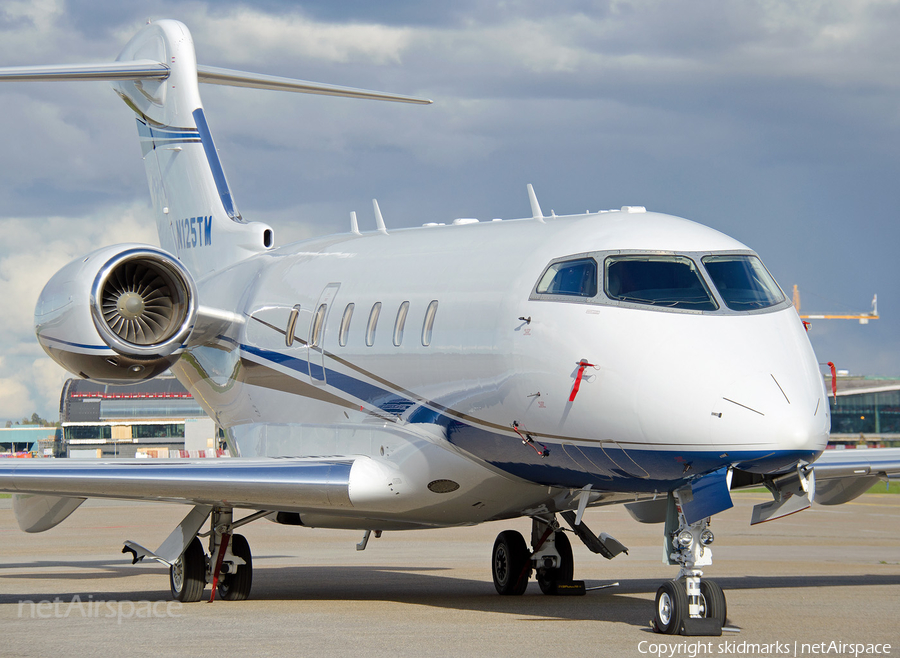 (Private) Bombardier BD-100-1A10 Challenger 300 (N125TM) | Photo 76692