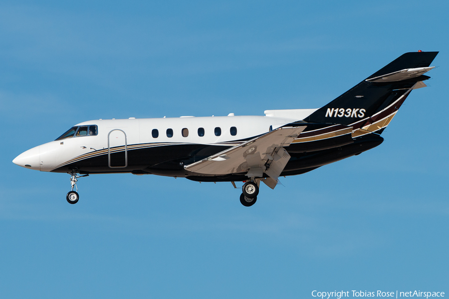 (Private) Raytheon Hawker 800XP (N133KS) | Photo 341200