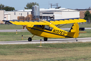 (Private) American Champion 7EC Champ (N137EC) at  Dallas - Addison, United States