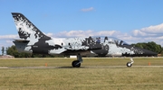 (Private) Aero L-39C Albatros (N138EM) at  Oshkosh - Wittman Regional, United States