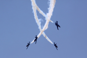 Patriots Jet Team Aero L-39C Albatros (N139RH) at  March Air Reserve Base, United States