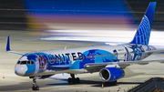 United Airlines Boeing 757-224 (N14102) at  Tenerife Sur - Reina Sofia, Spain