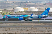 United Airlines Boeing 757-224 (N14102) at  Tenerife Sur - Reina Sofia, Spain