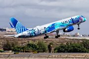 United Airlines Boeing 757-224 (N14102) at  Tenerife Sur - Reina Sofia, Spain