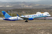 United Airlines Boeing 757-224 (N14106) at  Tenerife Sur - Reina Sofia, Spain