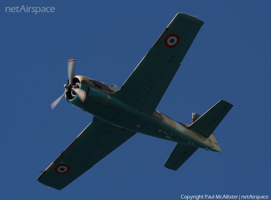 (Private) North American T-28A Trojan (N14113) | Photo 100822