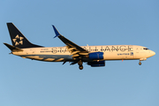 United Airlines Boeing 737-824 (N14219) at  Windsor Locks - Bradley International, United States
