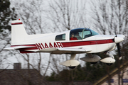 (Private) Grumman American AA-1B Trainer (N1444R) at  Madison - Bruce Campbell Field, United States