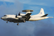 United States Customs and Border Protection Lockheed P-3 AEW&C Orion (N144CS) at  San Juan - Luis Munoz Marin International, Puerto Rico