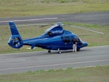 (Private) Eurocopter EC155 B1 Dauphin (N151MP) at  Santo Domingo - San Isidro Air Base, Dominican Republic