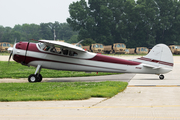 (Private) Cessna 195A (N1556D) at  Oshkosh - Wittman Regional, United States
