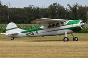 (Private) Cessna 195A (N1567D) at  Bienenfarm, Germany